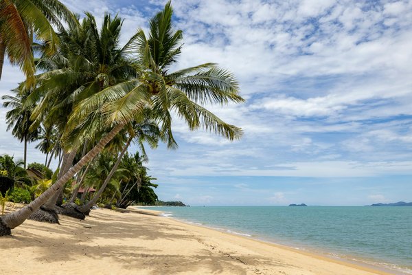 Une escapade inoubliable avec izenah croisières dans le golfe du morbihan