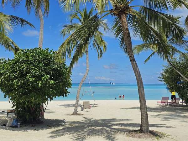 MSC : destinations à découvrir durant une croisière MSC en 2024