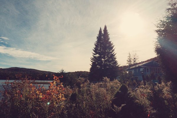Escapade culinaire automnale à Annecy : Découvrez les délices de la saison